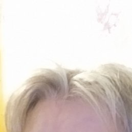 , 62, 