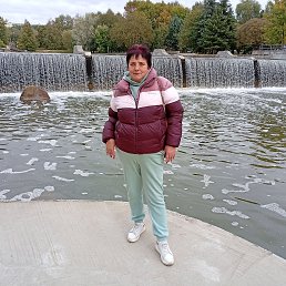 , 61, 