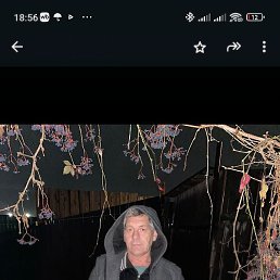 ���������, ������, 51 ���