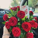 ���� �����, ������, 49 ��� - ��������� 27 ������ 2023 � ������ ���� ����������