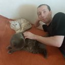 ���� ����, �������, 38 ��� - ��������� 18 ������� 2026 � ������ ���� ����������