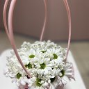 ���� &&&&, ������ �������� - ��������� 12 ��� 2025 � ������ ���� ����������