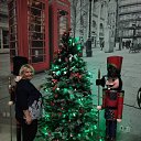 ���� �����, ���, 41 ��� - ��������� 23 ������ 2026 � ������ ���� ����������