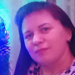 �������, ������, 41 ���