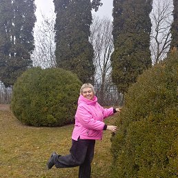 ���� �����, ���������, 55 ��� - ��������� 15 ����� 2026