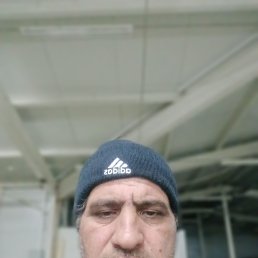 , 55, 