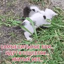 ���� �����, ������ ����� - ��������� 1 ��� 2026 � ������ ������ ��������