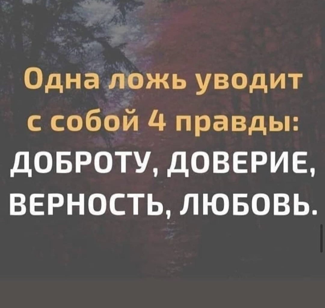 ����� - 15 ������ 2026 � 00:07