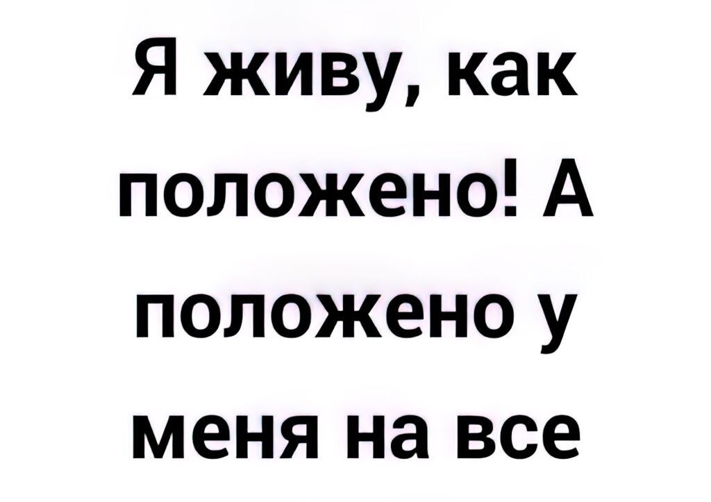   - 8  2025  18:37