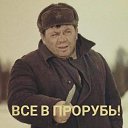 ���� ����, ������, 49 ��� - ��������� 19 ������ 2026 � ������ ������ ��������