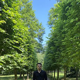 �����, �����������, 28 ���