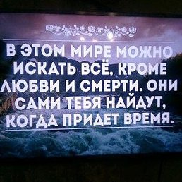 ������, �������, 49 ���