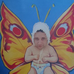 ���� �����, ������, 43 ���� - ��������� 10 ����� 2026