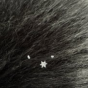 ����, 33 ����, ����