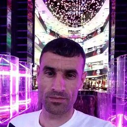 , 41, 