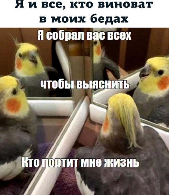 �����-��������, �����-�������.Ÿ ������� �� ������� � � ����������. ������ �������� ������ ��� ...