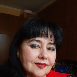 , 37,  