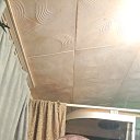 ���� ������, ������������, 37 ��� - ��������� 25 ������ 2025 � ������ ���� ����������