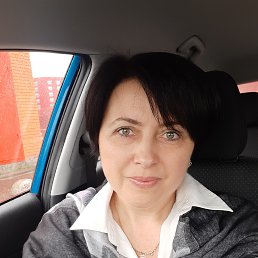 ���� ������, ������, 56 ��� - ��������� 12 ���� 2026