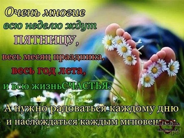 �������� - 29 ���� 2026 � 06:42 - 2