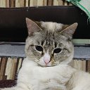 ���� Pasha, �������������, 45 ��� - ��������� 2 ����� 2025