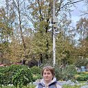  , --, 54  -  28  2025    