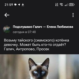 ������, ��������, 42 ����