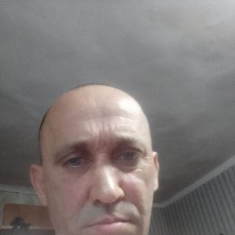 , 49 , 