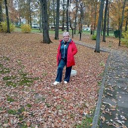 �����, ���������, 58 ���