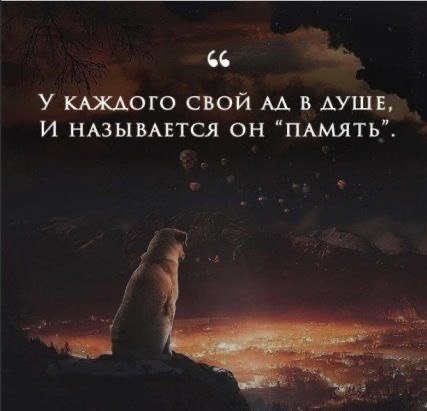   - 19  2025  09:16