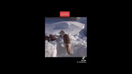 ���������� ������!