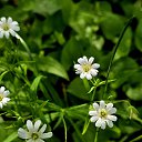 ���� ������, ������ - ��������� 30 ��� 2026 � ������ ���� ����������