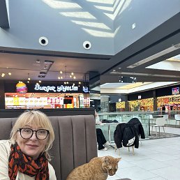 ���� �������, ������-��-����, 67 ��� - ��������� 31 ������ 2026