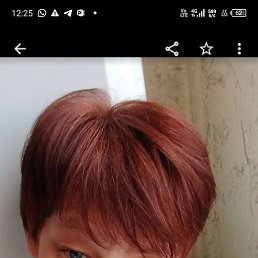 �����, ������, 54 ����