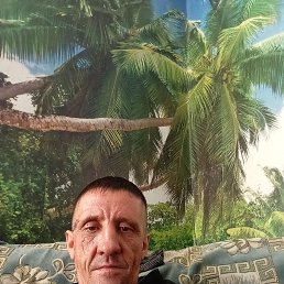 ������, 46 ���, ������