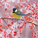 ���� ������, ����� - ��������� 31 ������� 2024 � ������ ���� ����������