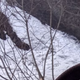 ���������, �����������, 54 ����