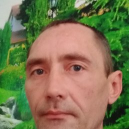 , 41, 
