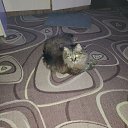 ���� �����, ������, 45 ��� - ��������� 17 ������� 2025 � ������ ���� ����������