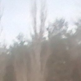 �������, �������, 56 ���