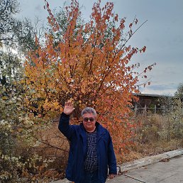, 65, 