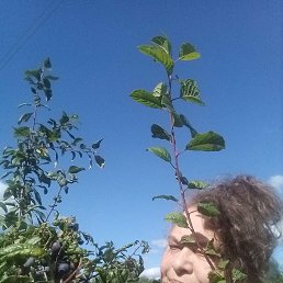 ���� �����, �����, 63 ���� - ��������� 6 ������� 2023