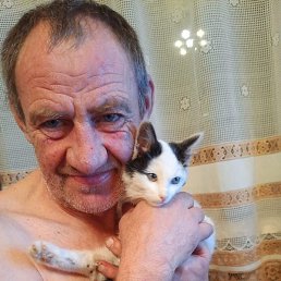 ����, ����, 49 ���