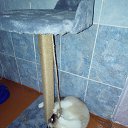 ���� �������, �����-���������, 68 ��� - ��������� 5 ������� 2023