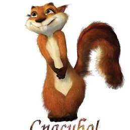 ����, ������, 38 ���