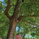 ���� �����, ���������, 54 ���� - ��������� 22 ������� 2025 � ������ ������