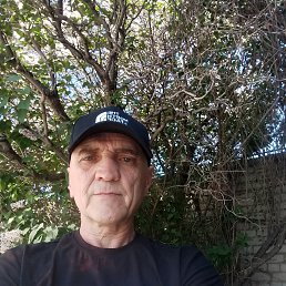 , 56, -