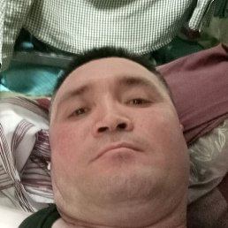 ������, ������, 37 ���