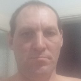 ������, ��������, 41 ���