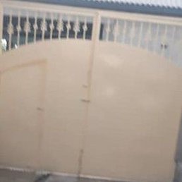 �����������, �����-���������, 27 ���